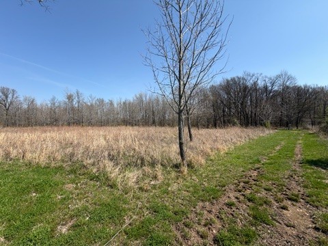 11164 Old Us Highway Reed, KY 42451 - Photo 11 of 19