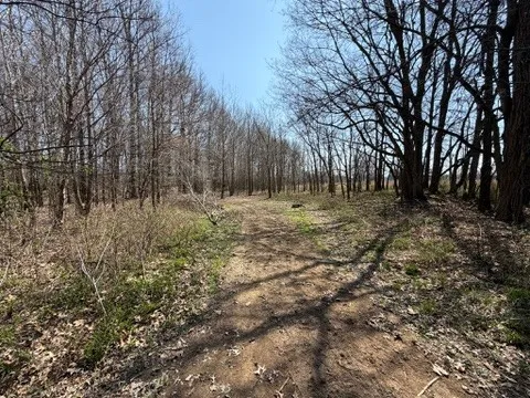 a big yard with lots of green space and plants