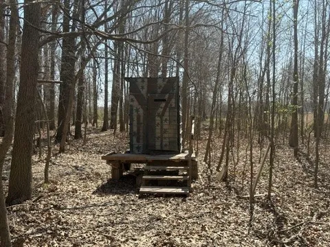 a green field with lots of trees