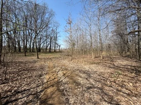 a view of outdoor space with trees