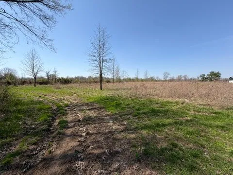 a view of an outdoor space and a yard