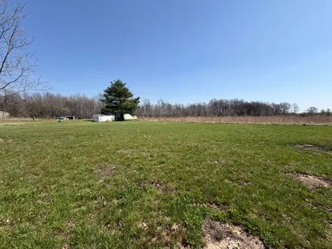 a view of a field with an ocean