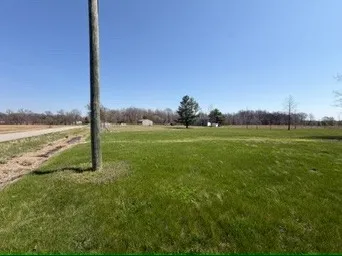 a view of a grassy field with an trees