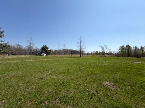 a view of grassy field with trees