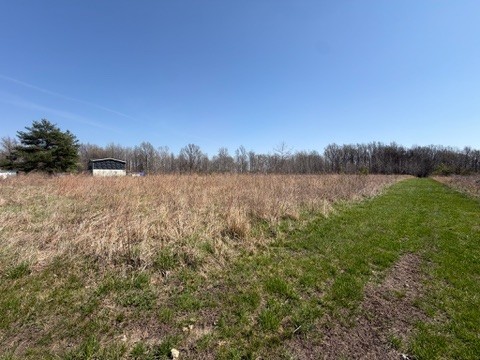 11164 Old Us Highway Reed, KY 42451 - Photo 9 of 19