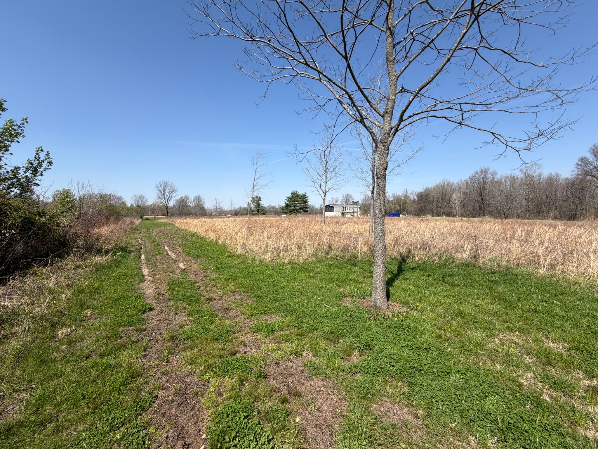 11164 Old Us Highway Reed, KY 42451 - Photo 10 of 19