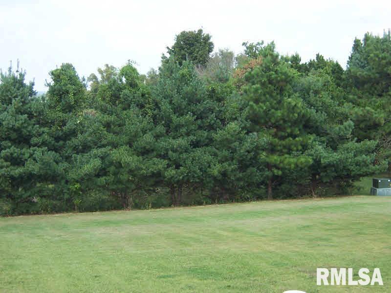 455 Dogwalk Road Anna, IL 62906 - Photo 11 of 12 Gallery Image 11