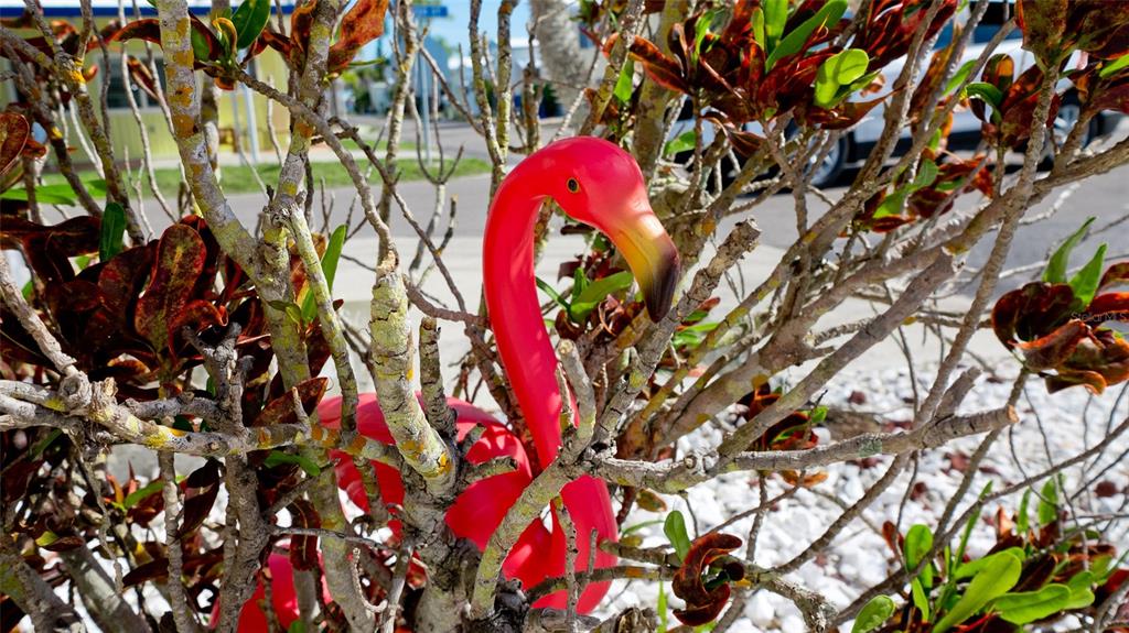 31 First Street Bradenton, FL 34210 - Photo 23 of 66