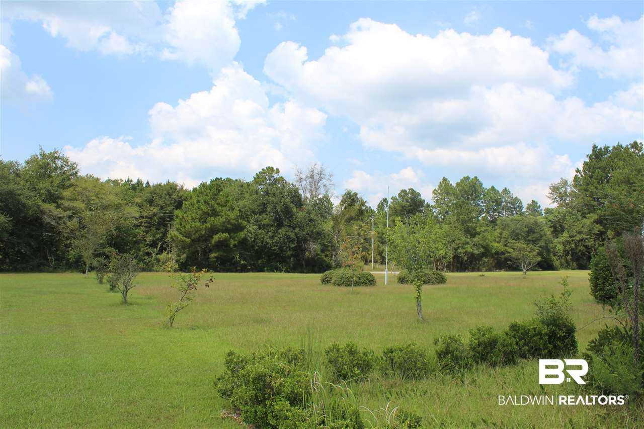 15936 County Road 87 Elberta, AL 36530 - Photo 2 of 3