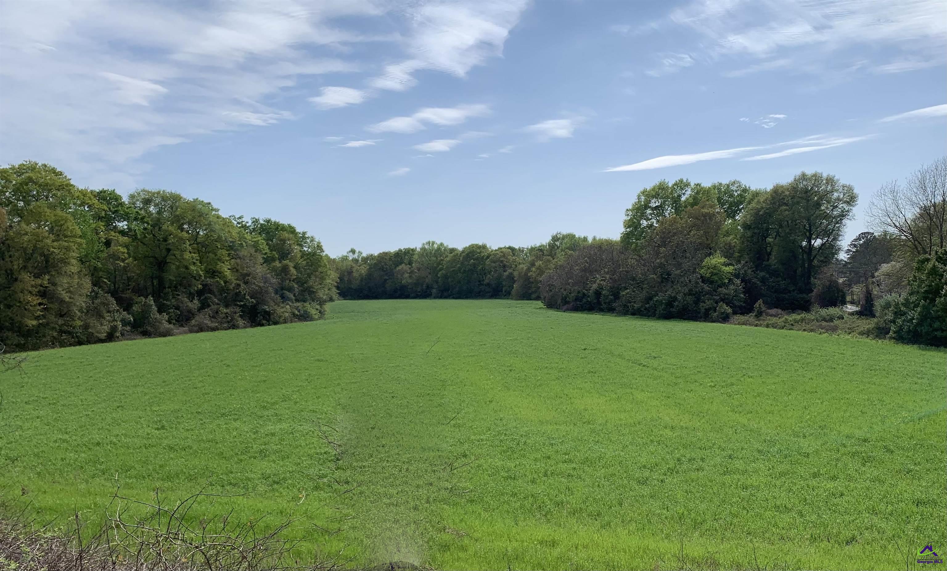 Moseley Road Byron, GA 31008 - Photo 1 of 14 a view of a field of grass and trees