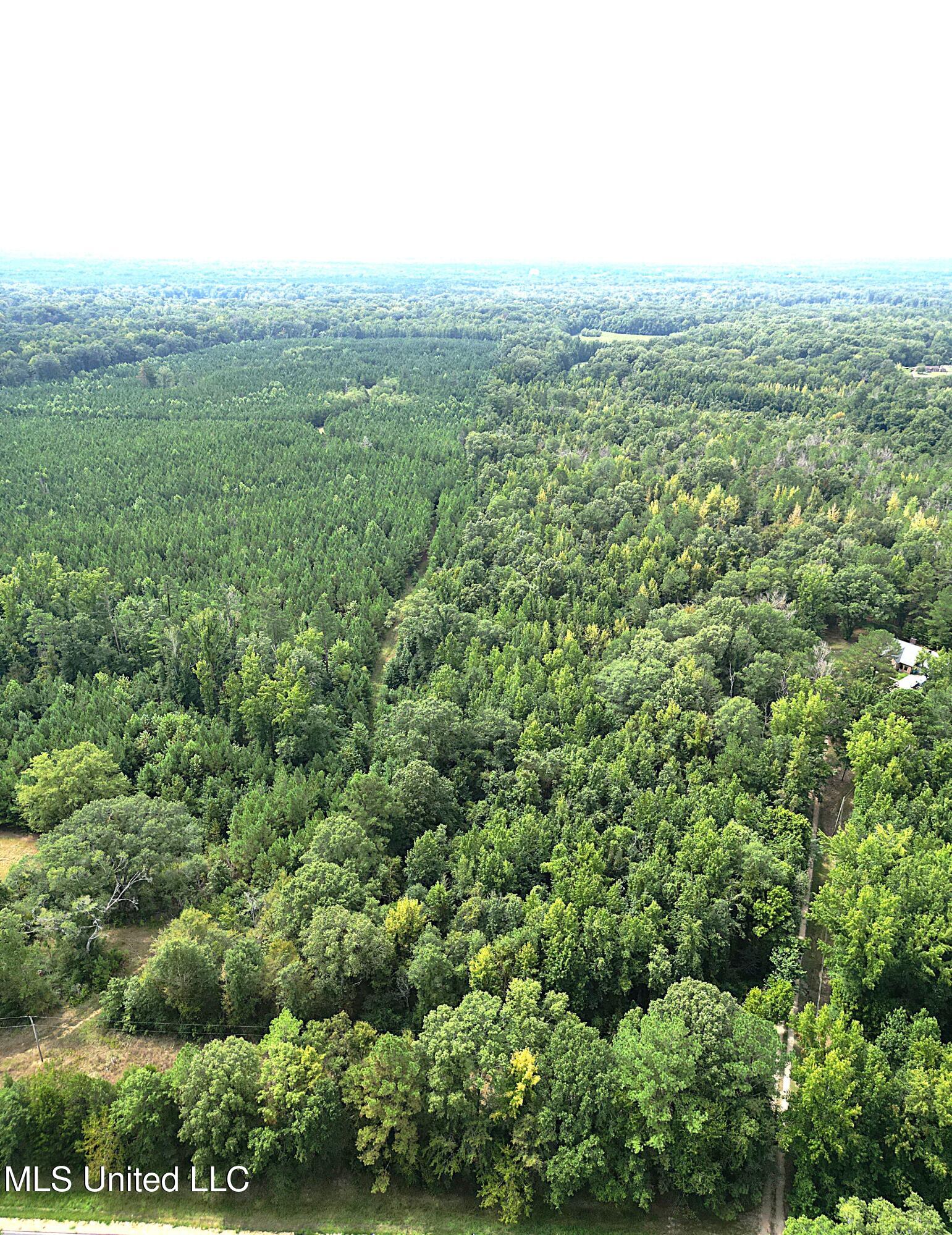 Land Pic 1