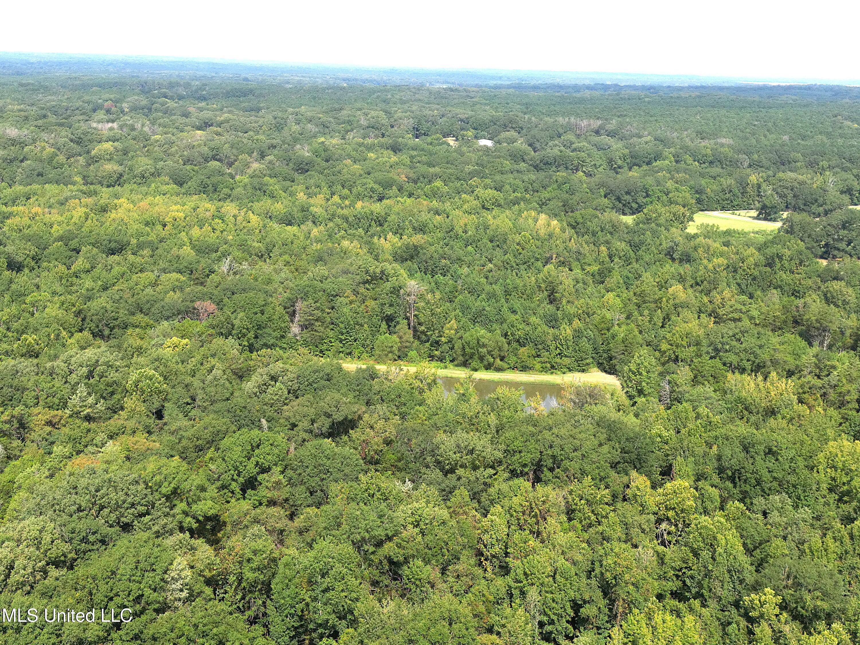 0 Kennebrew Road Jackson, MS 39209 - Photo 2 of 6 Pond Pic