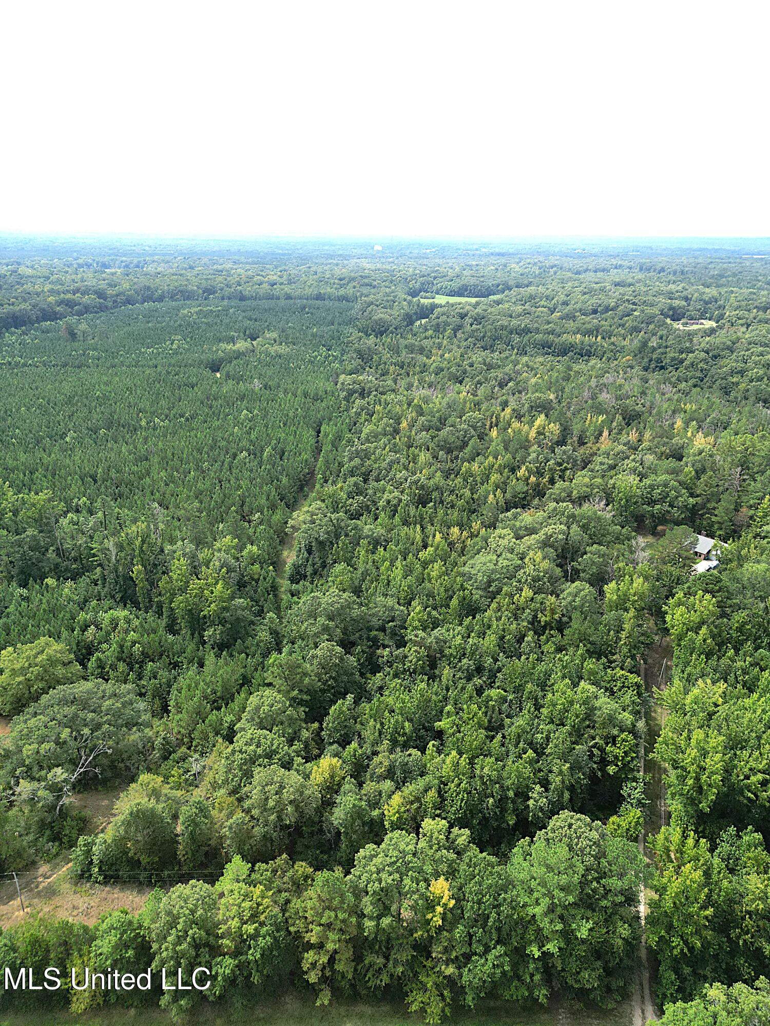 0 Kennebrew Road Jackson, MS 39209 - Photo 4 of 6 DJI_0077