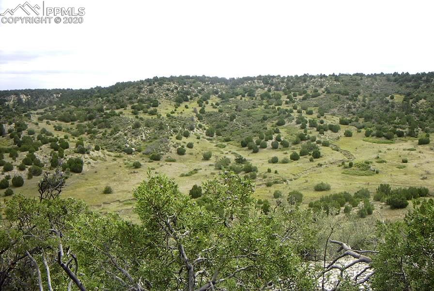 Tbd Siloam Road Beulah, CO 81023 - Photo 3 of 12