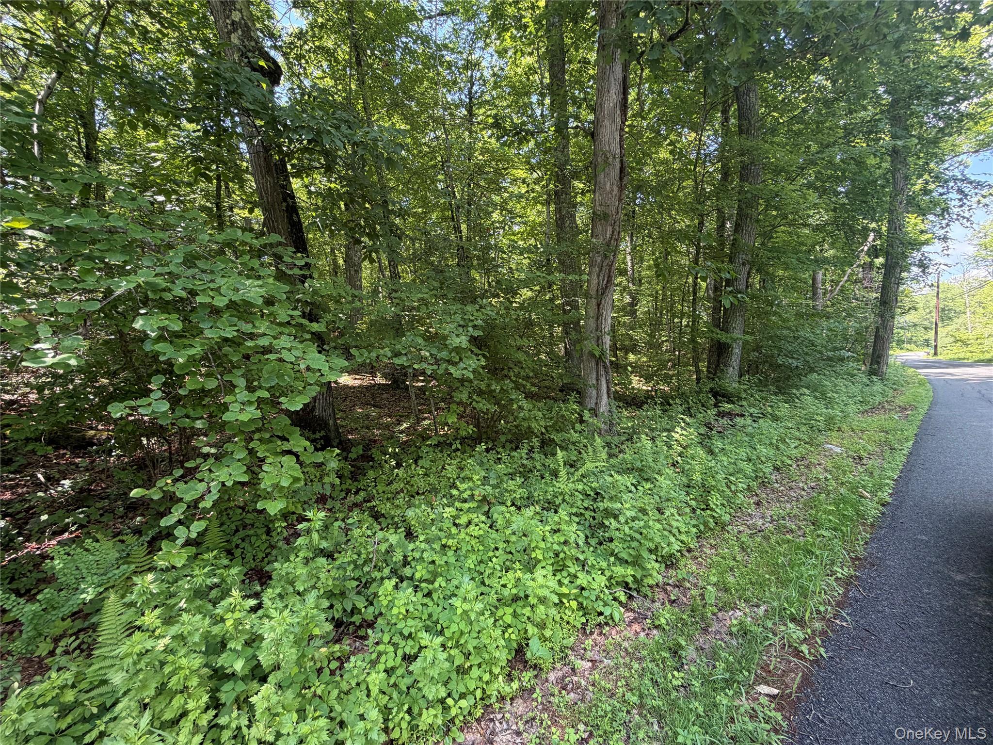 599 East Mountain Road North Cold Spring, NY 10516 - Photo 7 of 11