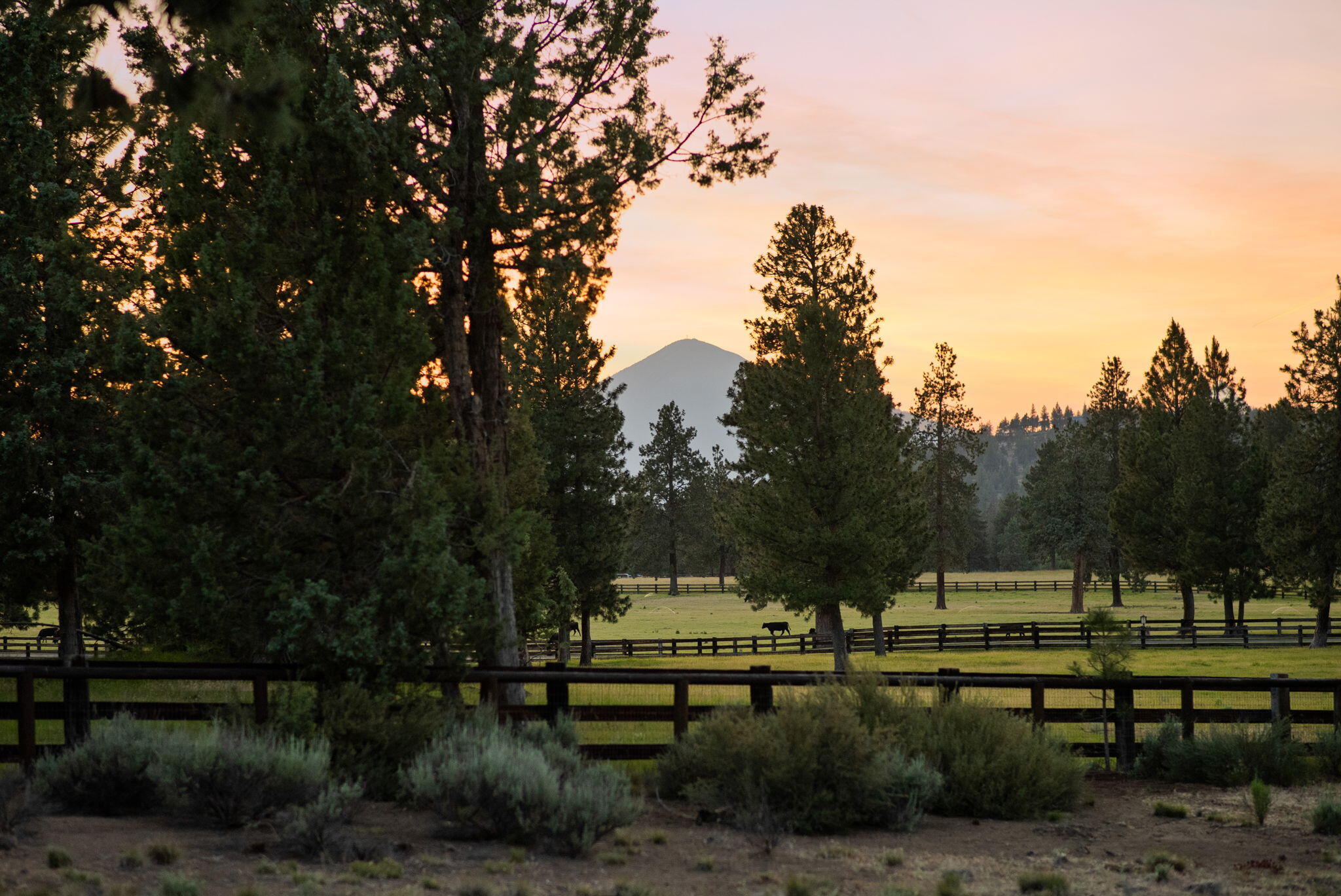 16472 Jordan Road Sisters, OR 97759 - Photo 34 of 50 30-web-or-mls-Riley Visuals-30