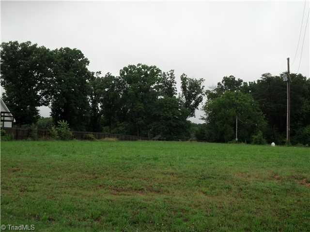 0 Plum Tree Road Climax, NC 27233 - Photo 1 of 2 Exterior Front.