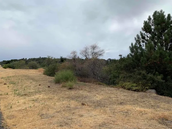 a view of a lake with beach and green space