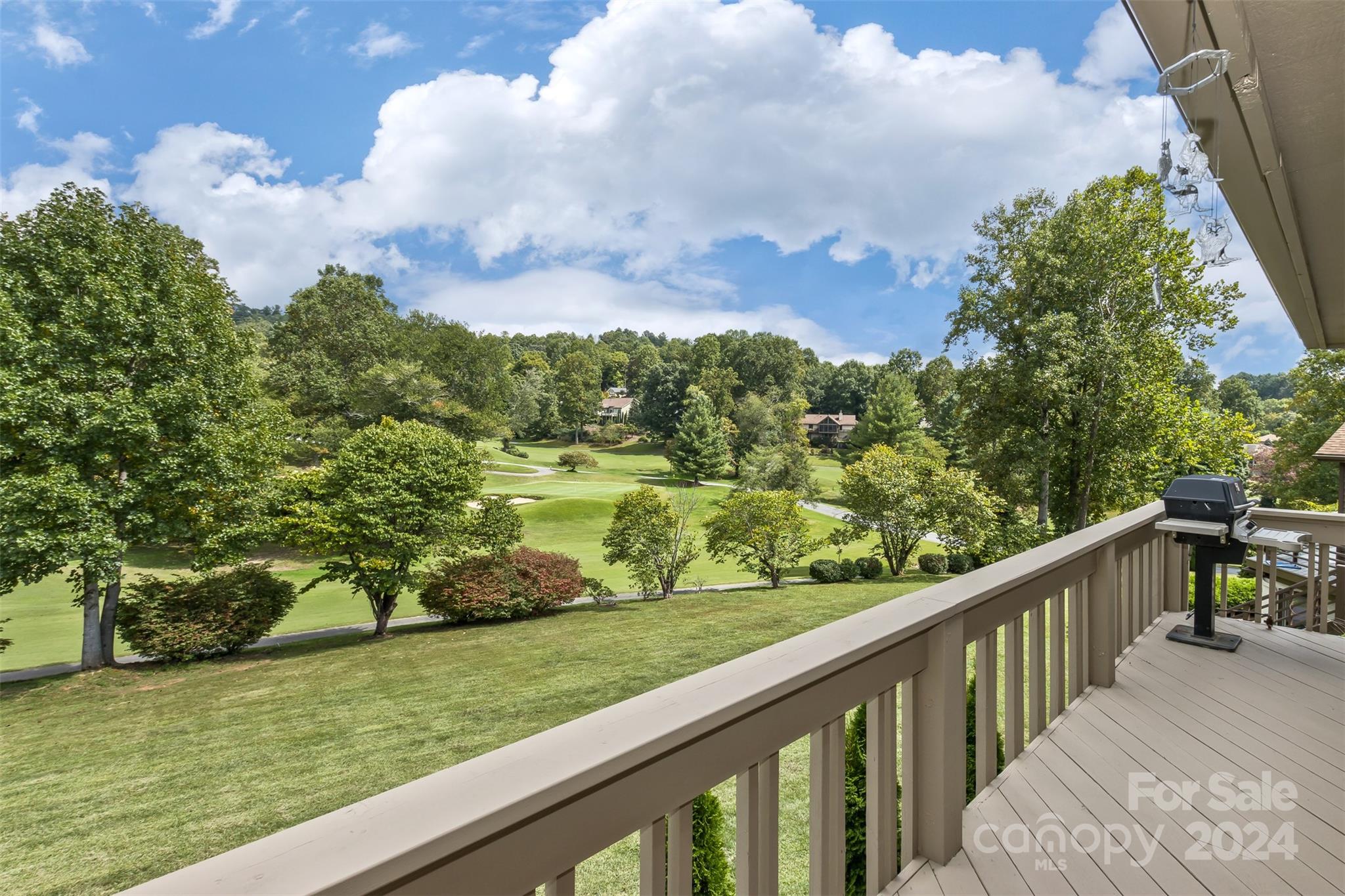 3108 Cove Loop Road Hendersonville, NC 28739 - Photo 3 of 29 Gallery Image 3