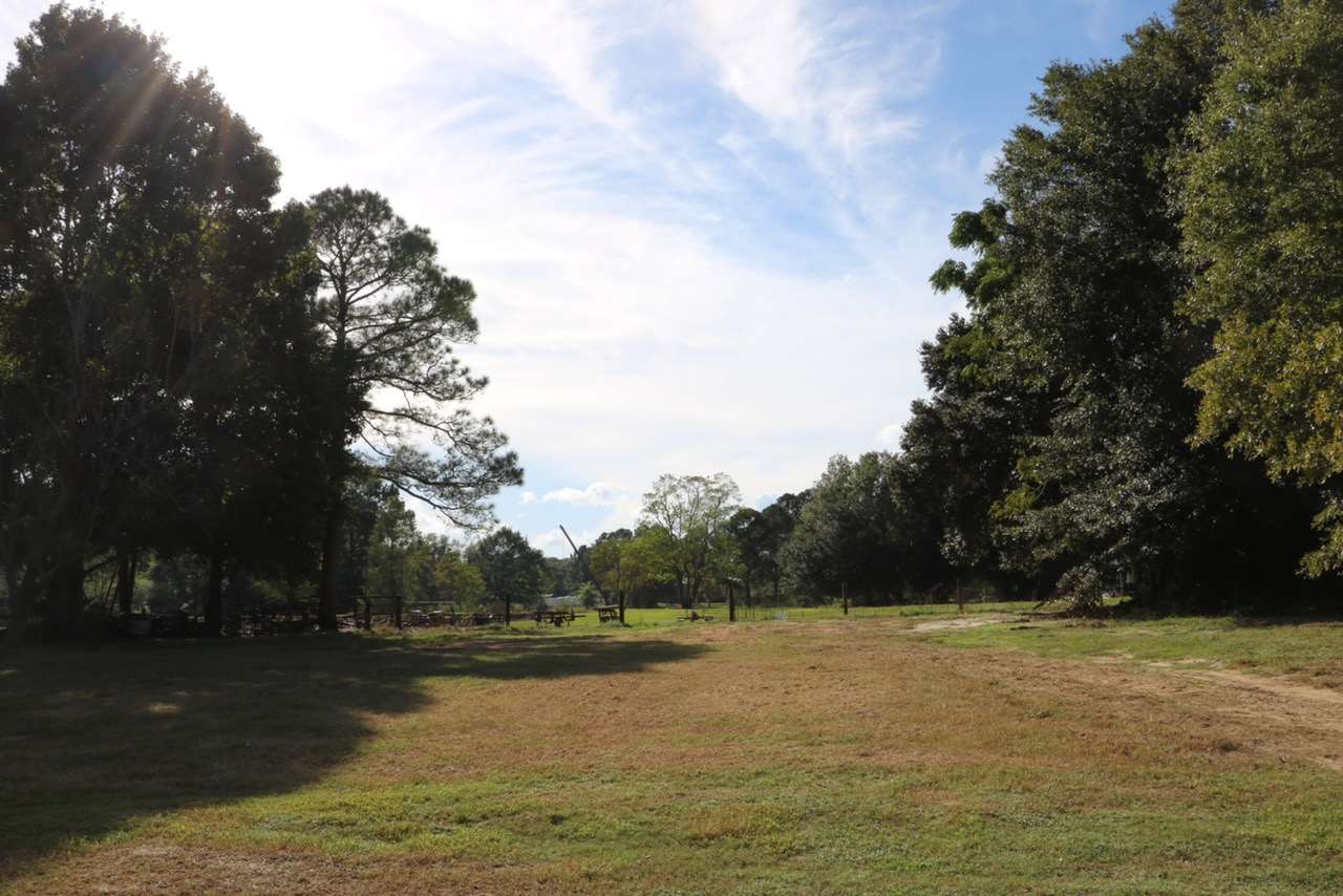 10161 County Road 83 Elberta, AL 36530 - Photo 8 of 10