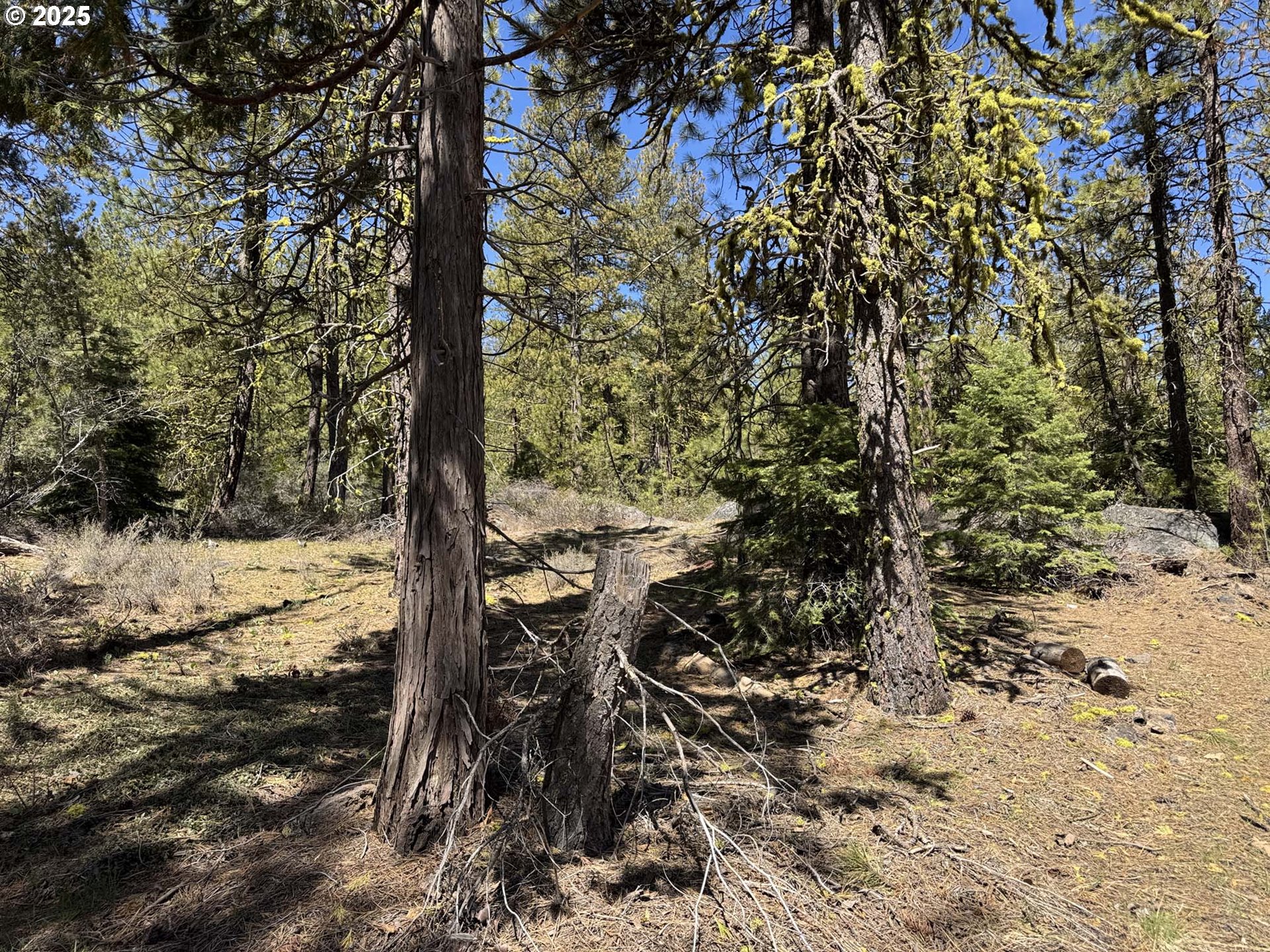 Horned Owl Lane Bonanza, OR 97623 - Photo 6 of 44