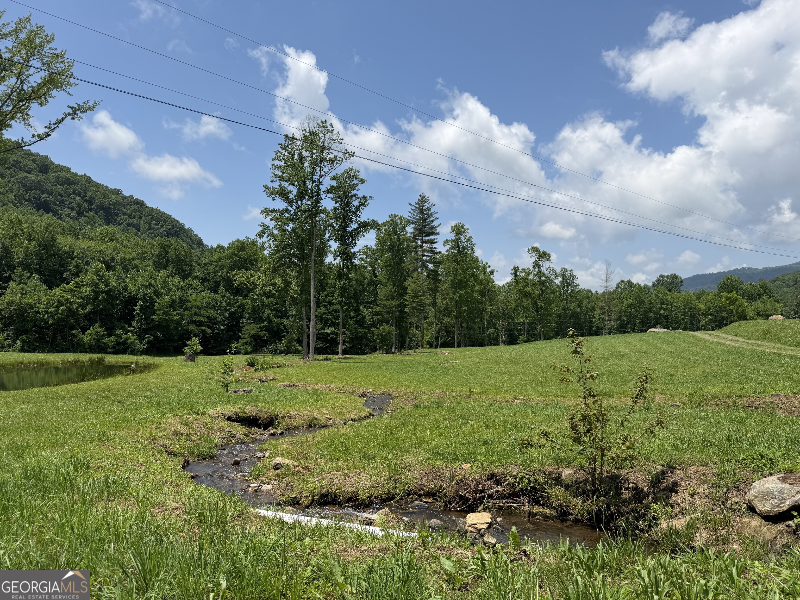 1449 Muskrat Creek Road Hayesville, NC 28904 - Photo 65 of 95