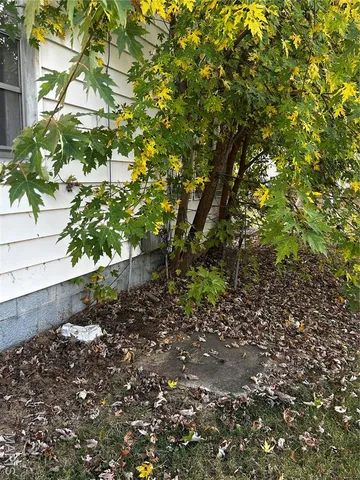 $30,000 | 311 North Elm Street, Nokomis, IL 62075