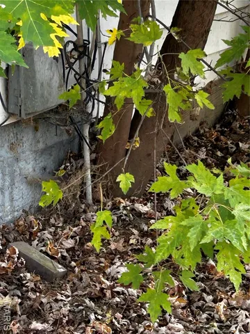 $30,000 | 311 North Elm Street, Nokomis, IL 62075