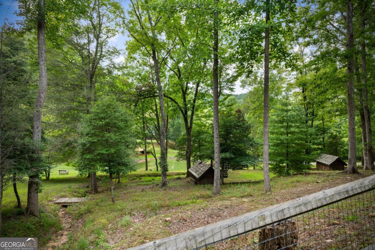 12 Heights Overlook Cherry Log, GA 30522 - Photo 37 of 58