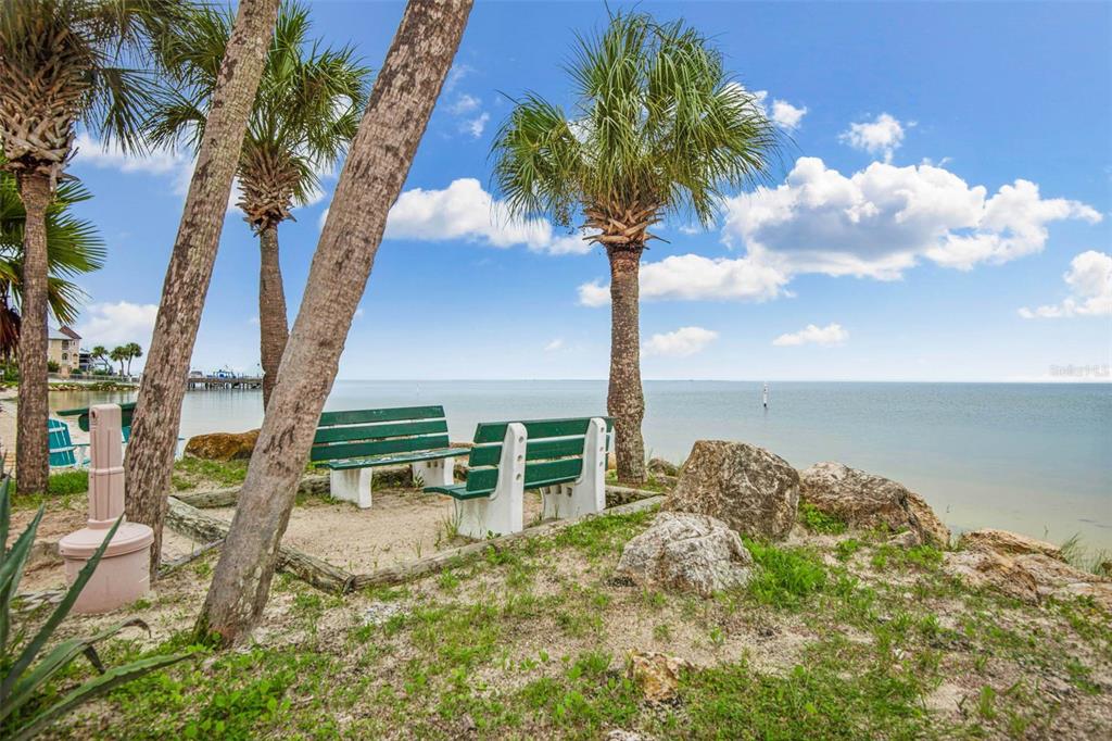 4832 Jasper Drive, Unit 107 New Port Richey, FL 34652 - Photo 23 of 27 a house with trees in front of it