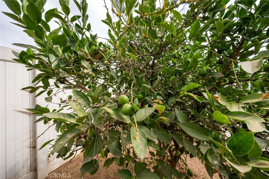 6951 New York Drive Riverside, CA 92506 - Photo 28 of 53