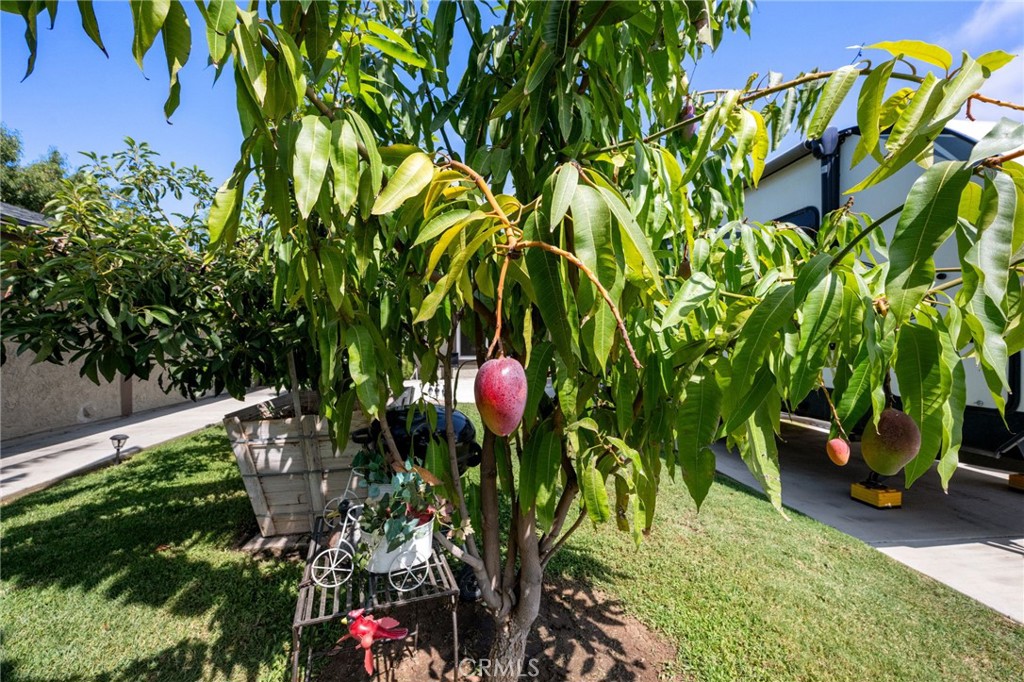 6951 New York Drive Riverside, CA 92506 - Photo 37 of 53