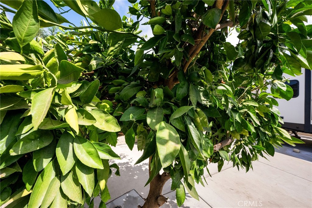 6951 New York Drive Riverside, CA 92506 - Photo 41 of 53