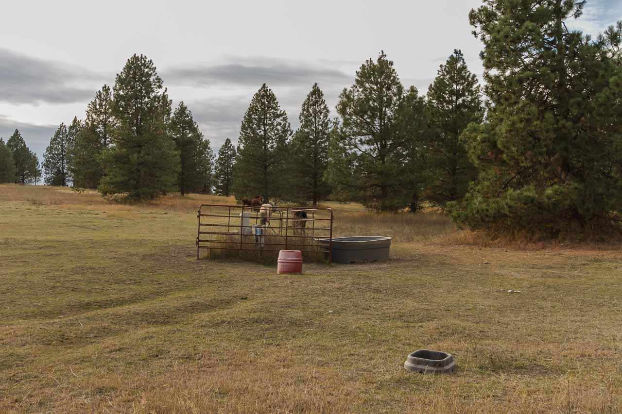 40-xx Flyckt Road Chewelah, WA 99109 - Photo 13 of 20 Gallery Image 13