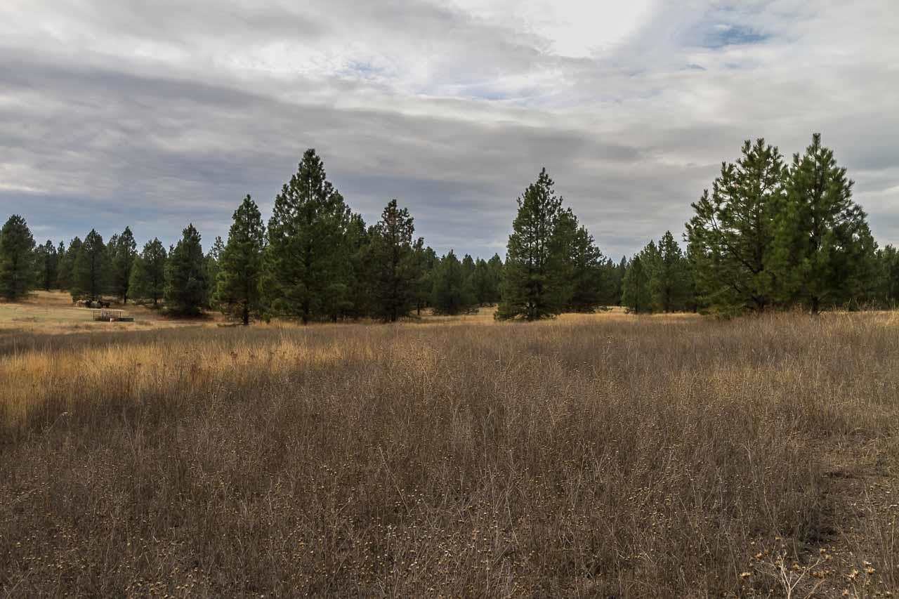 40-xx Flyckt Road Chewelah, WA 99109 - Photo 14 of 20 Gallery Image 14