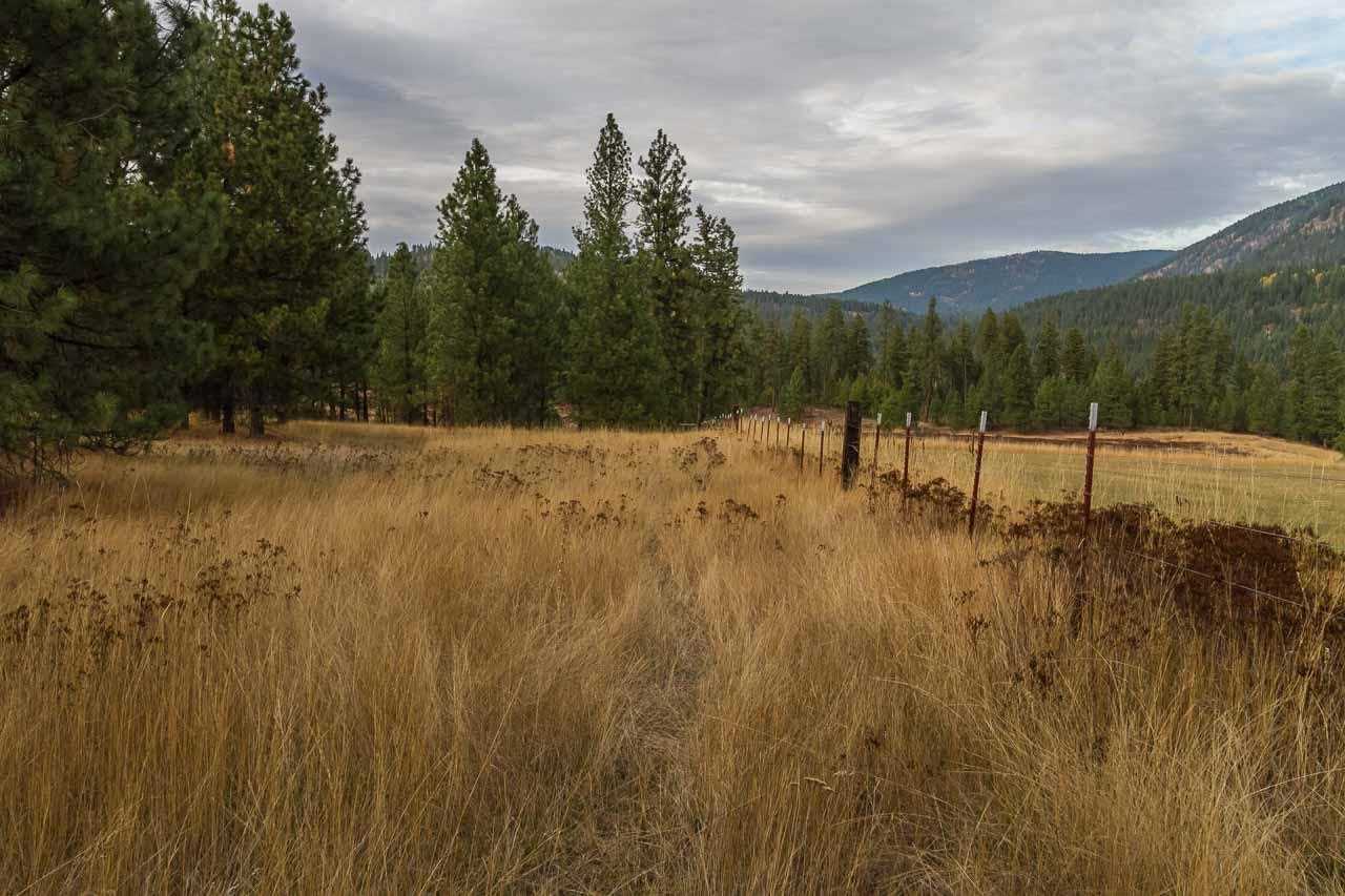 40-xx Flyckt Road Chewelah, WA 99109 - Photo 15 of 20 Gallery Image 15