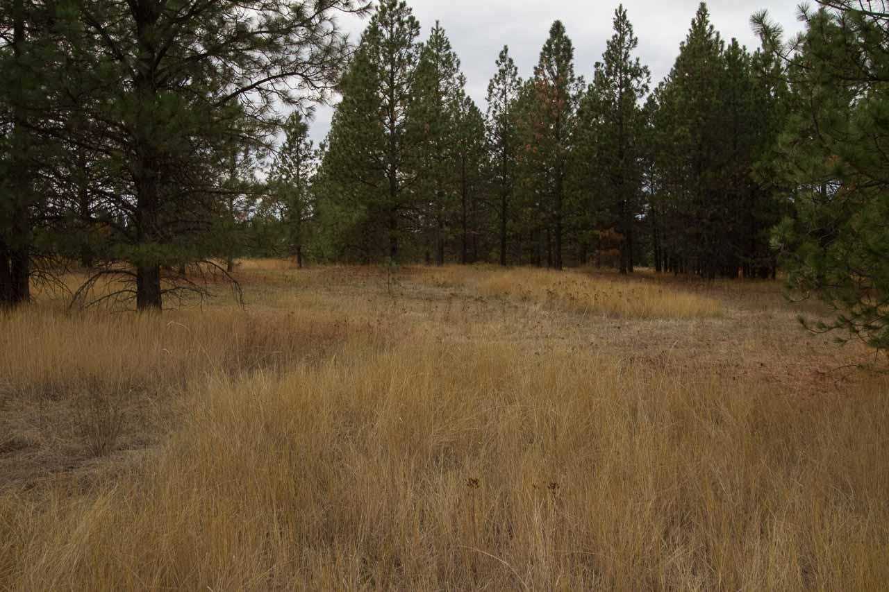 40-xx Flyckt Road Chewelah, WA 99109 - Photo 16 of 20 Gallery Image 16