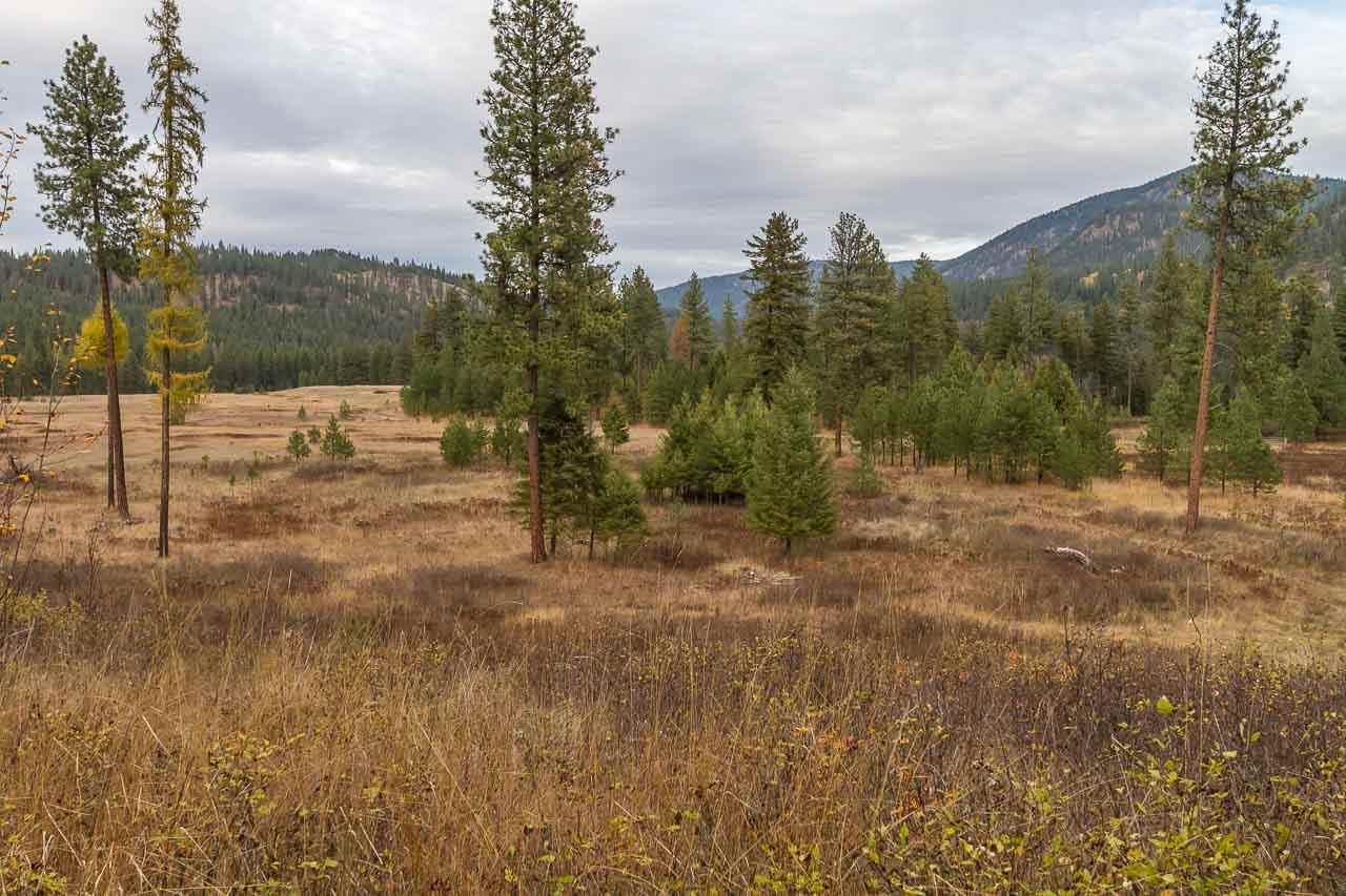 40-xx Flyckt Road Chewelah, WA 99109 - Photo 20 of 20 Gallery Image 20