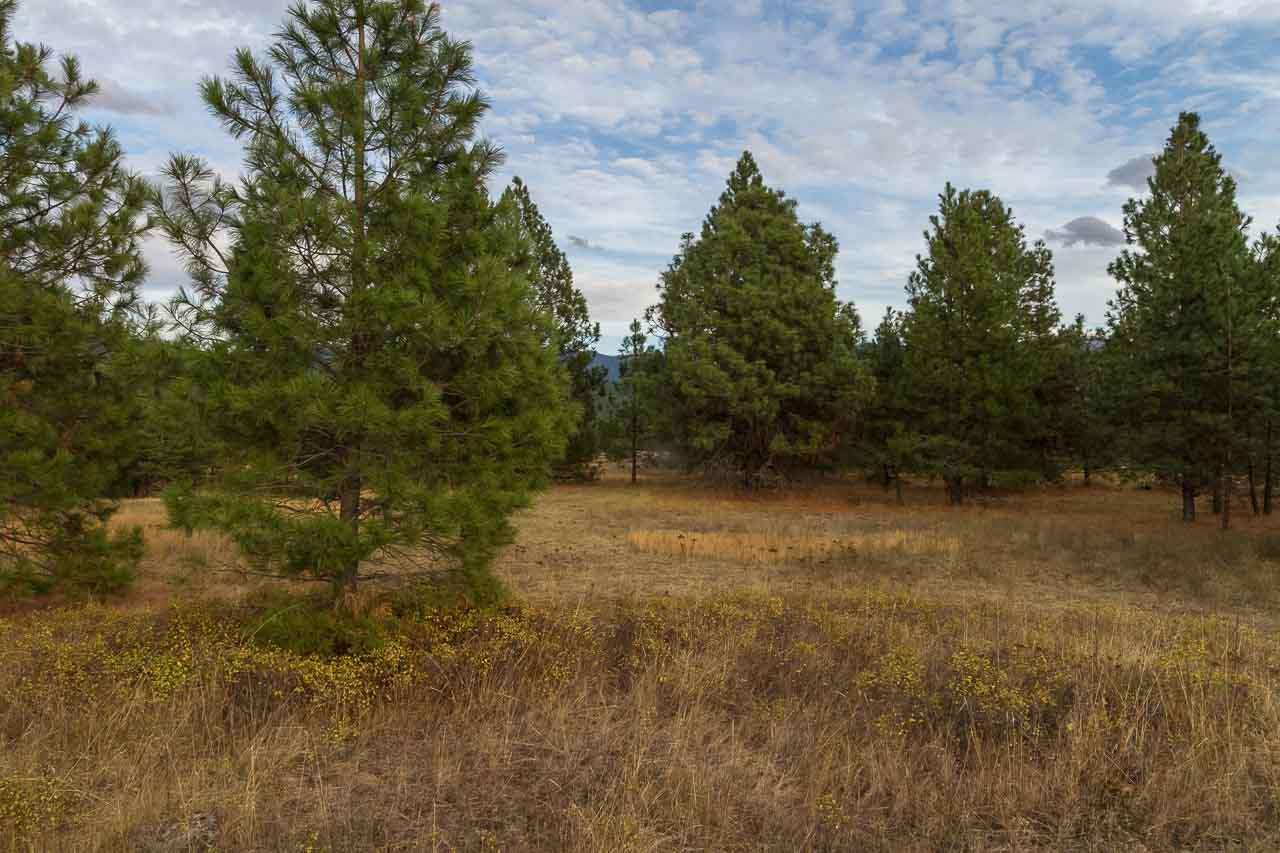 40-xx Flyckt Road Chewelah, WA 99109 - Photo 8 of 20 Gallery Image 8