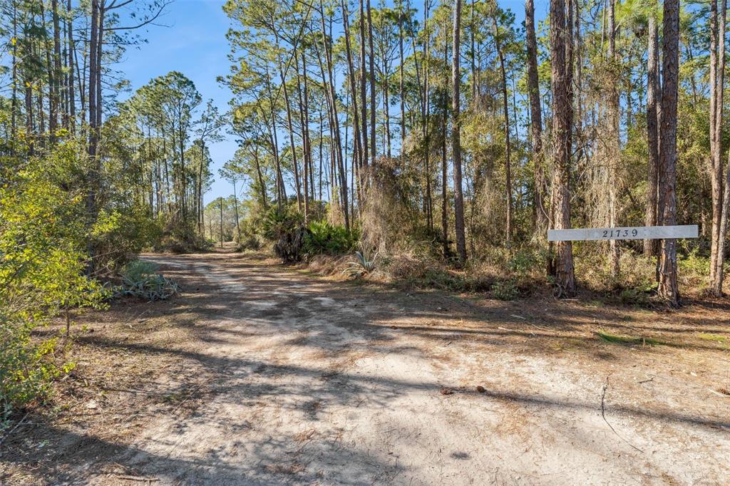 21739 Shady Grove Road Groveland, FL 34736 - Photo 6 of 46