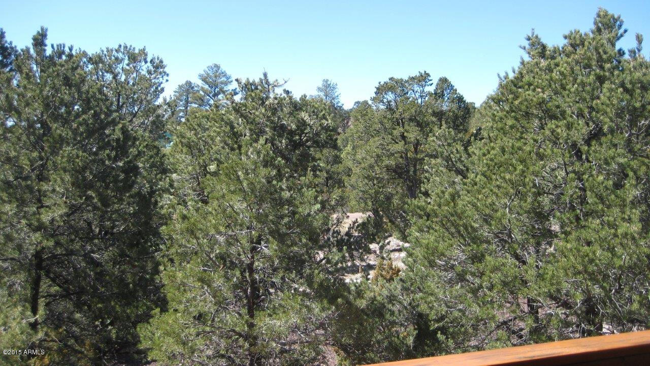 2961 Ranch House Road Overgaard, AZ 85933 - Photo 39 of 47 IMG_2199