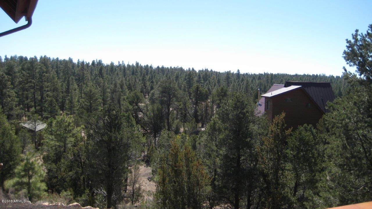 2961 Ranch House Road Overgaard, AZ 85933 - Photo 40 of 47 IMG_2200