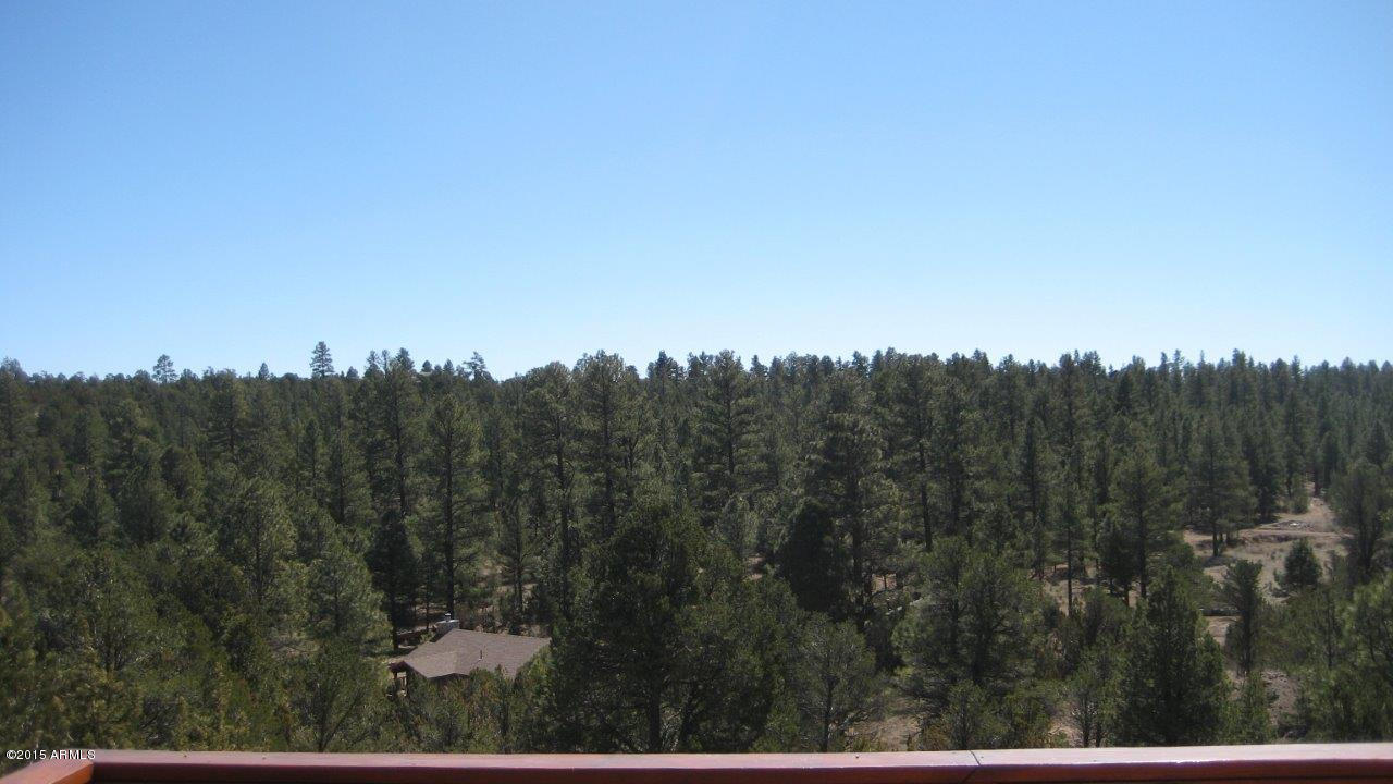 2961 Ranch House Road Overgaard, AZ 85933 - Photo 41 of 47 IMG_2202