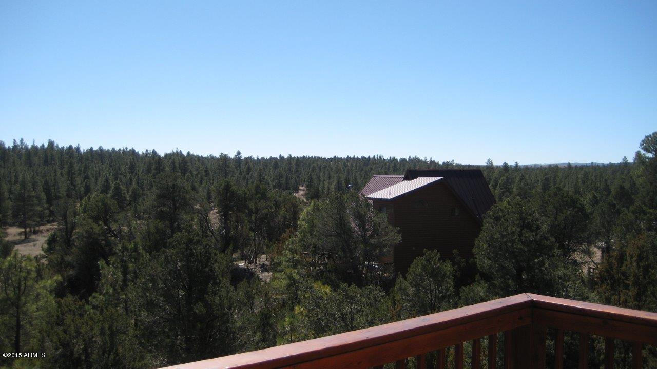 2961 Ranch House Road Overgaard, AZ 85933 - Photo 42 of 47 IMG_2203