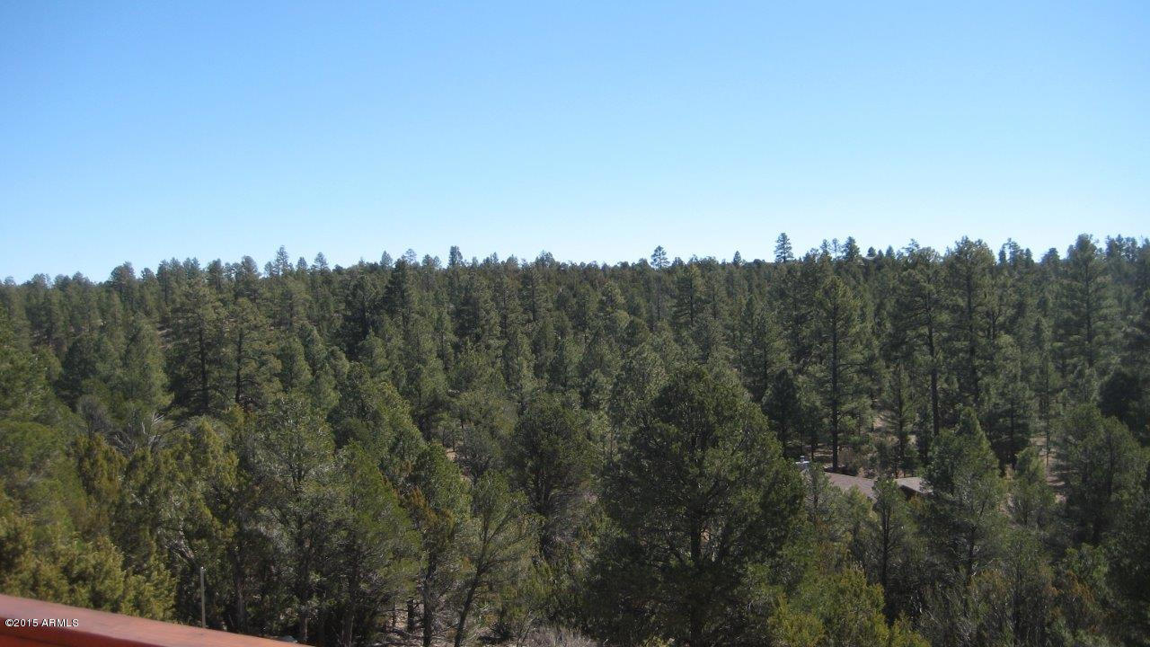 2961 Ranch House Road Overgaard, AZ 85933 - Photo 43 of 47 IMG_2205