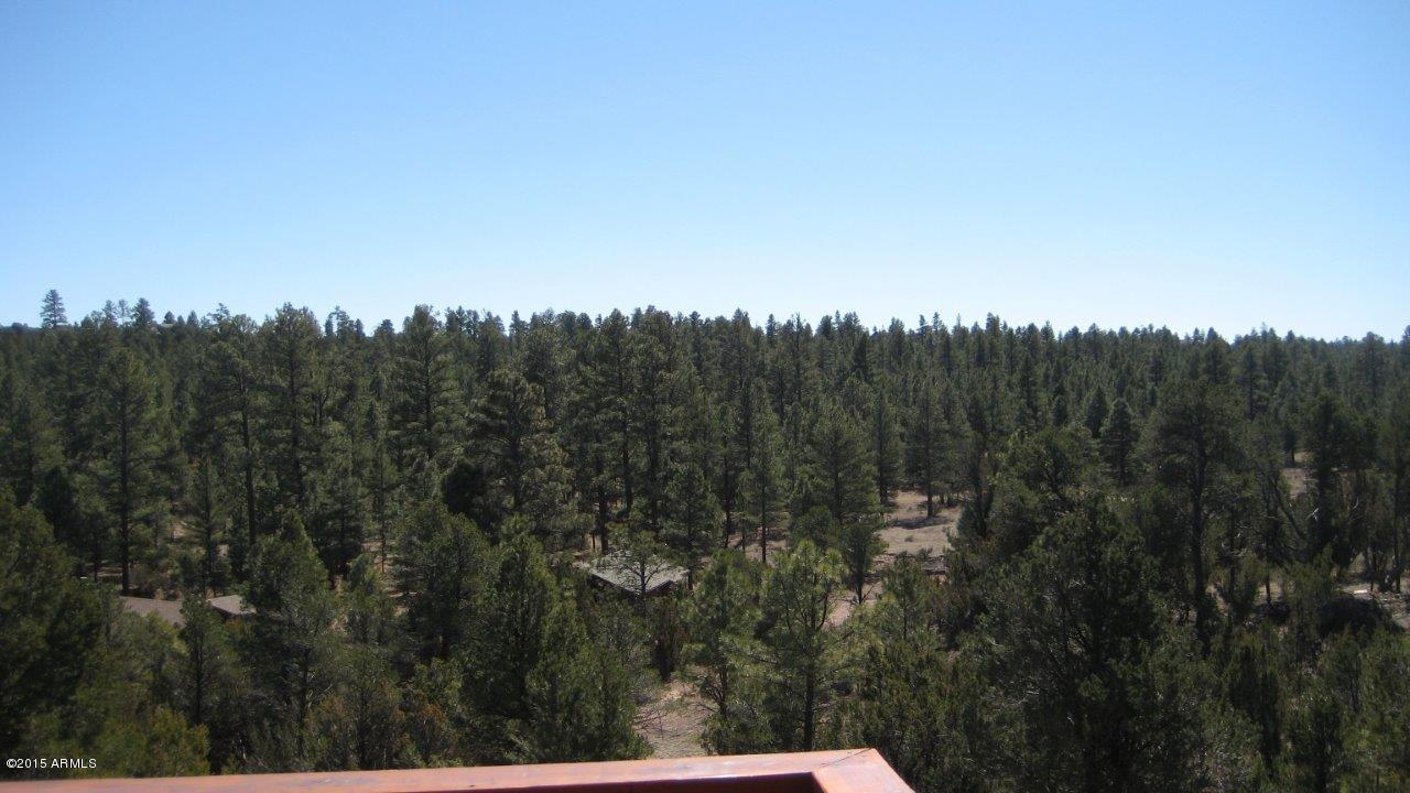 2961 Ranch House Road Overgaard, AZ 85933 - Photo 44 of 47 IMG_2206