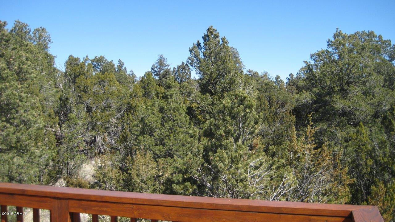 2961 Ranch House Road Overgaard, AZ 85933 - Photo 46 of 47 IMG_2209