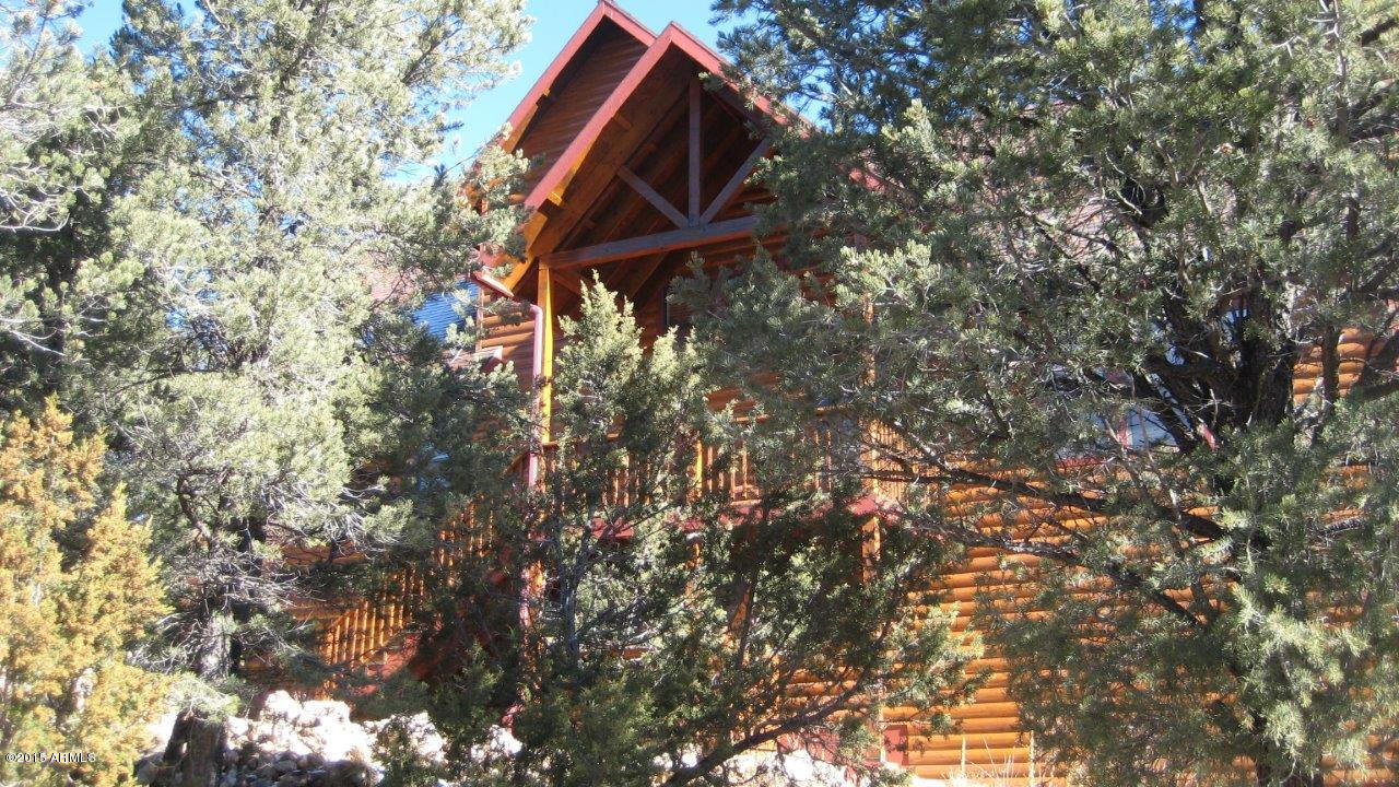 2961 Ranch House Road Overgaard, AZ 85933 - Photo 5 of 47 IMG_1907