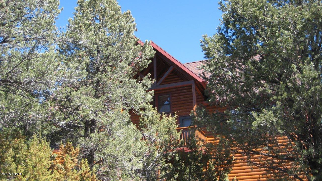 2961 Ranch House Road Overgaard, AZ 85933 - Photo 8 of 47 IMG_2231