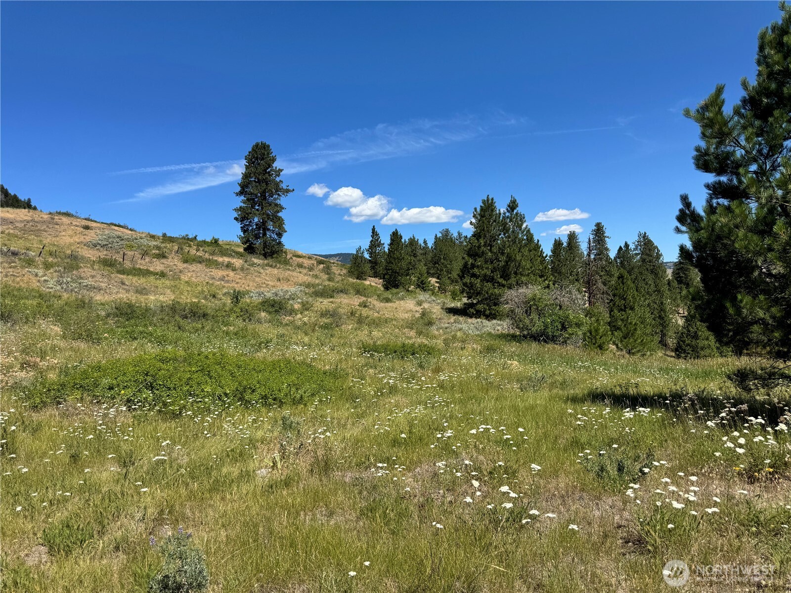 1 A Lundimow Meadows Road Curlew, WA 99118 - Photo 1 of 23 a view of a building in a field